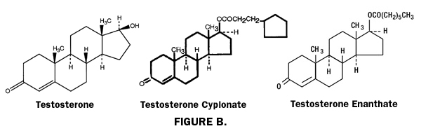 testosterone molecule and testosterone ester molecules