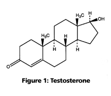 What are examples of steroid hormones