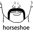 horseshoe mustache