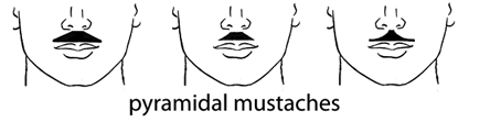 pyramidal mustaches