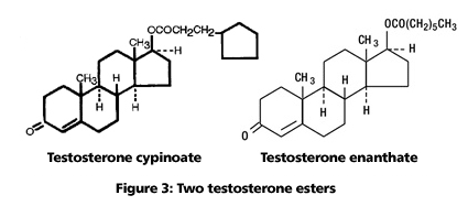 two testosterone esters